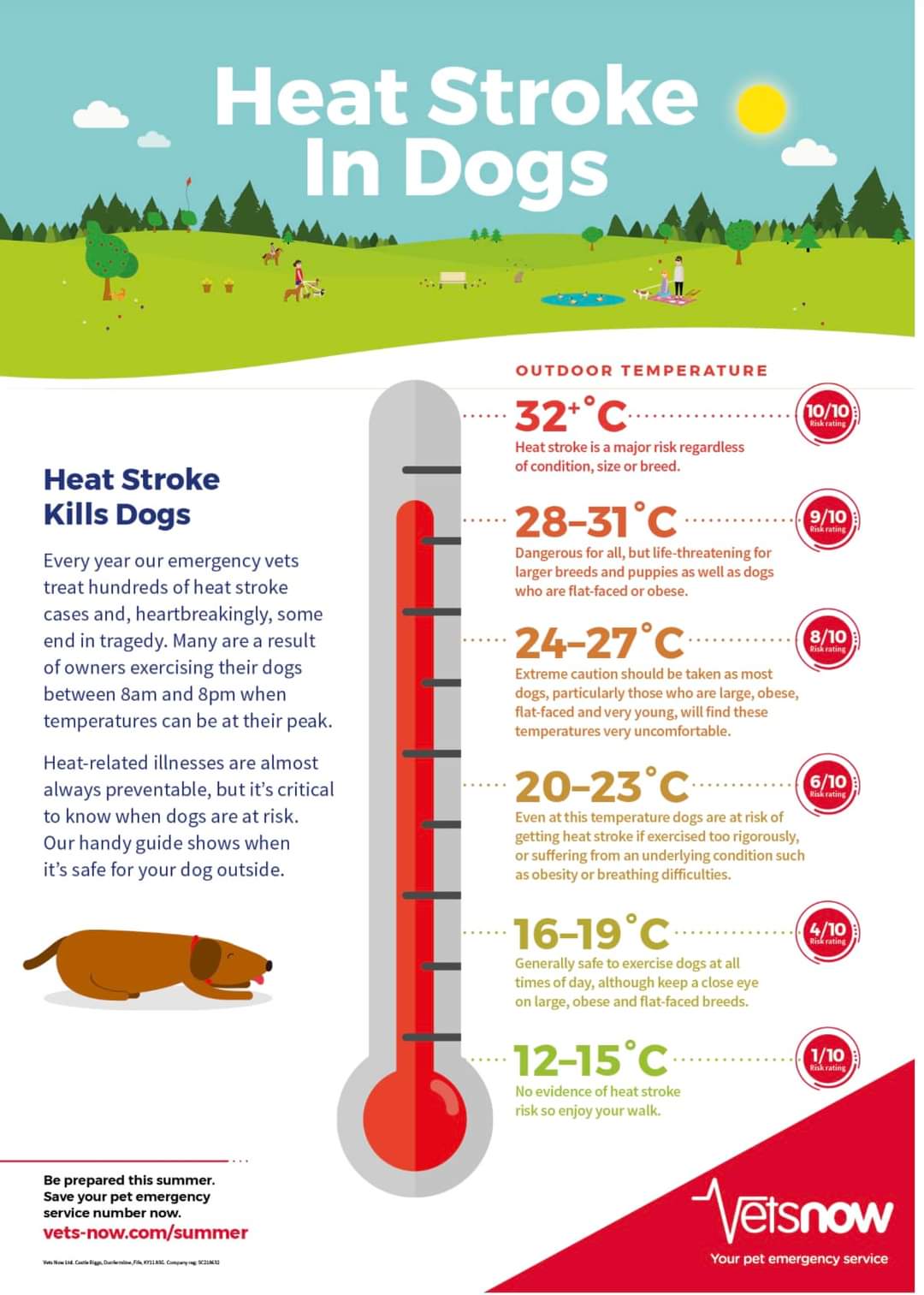 Heat Stroke In Dogs - Snooze Doggy