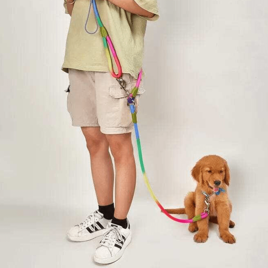 Snooze Doggy CAWAYI KENNEL Reflective Nylon Leashes Pet Dogs Chain Traction Rope Leads for Running Free Hands Rope Chain for Small Large Dogs