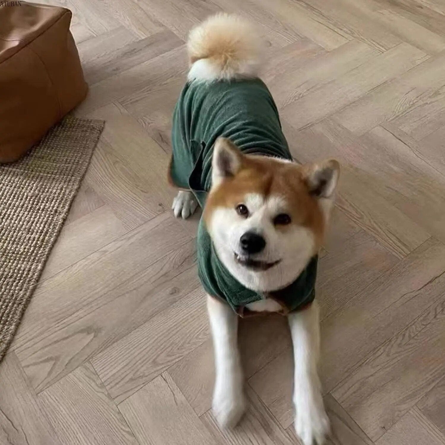 Snooze Doggy Dog Drying Towel/Bathrobe