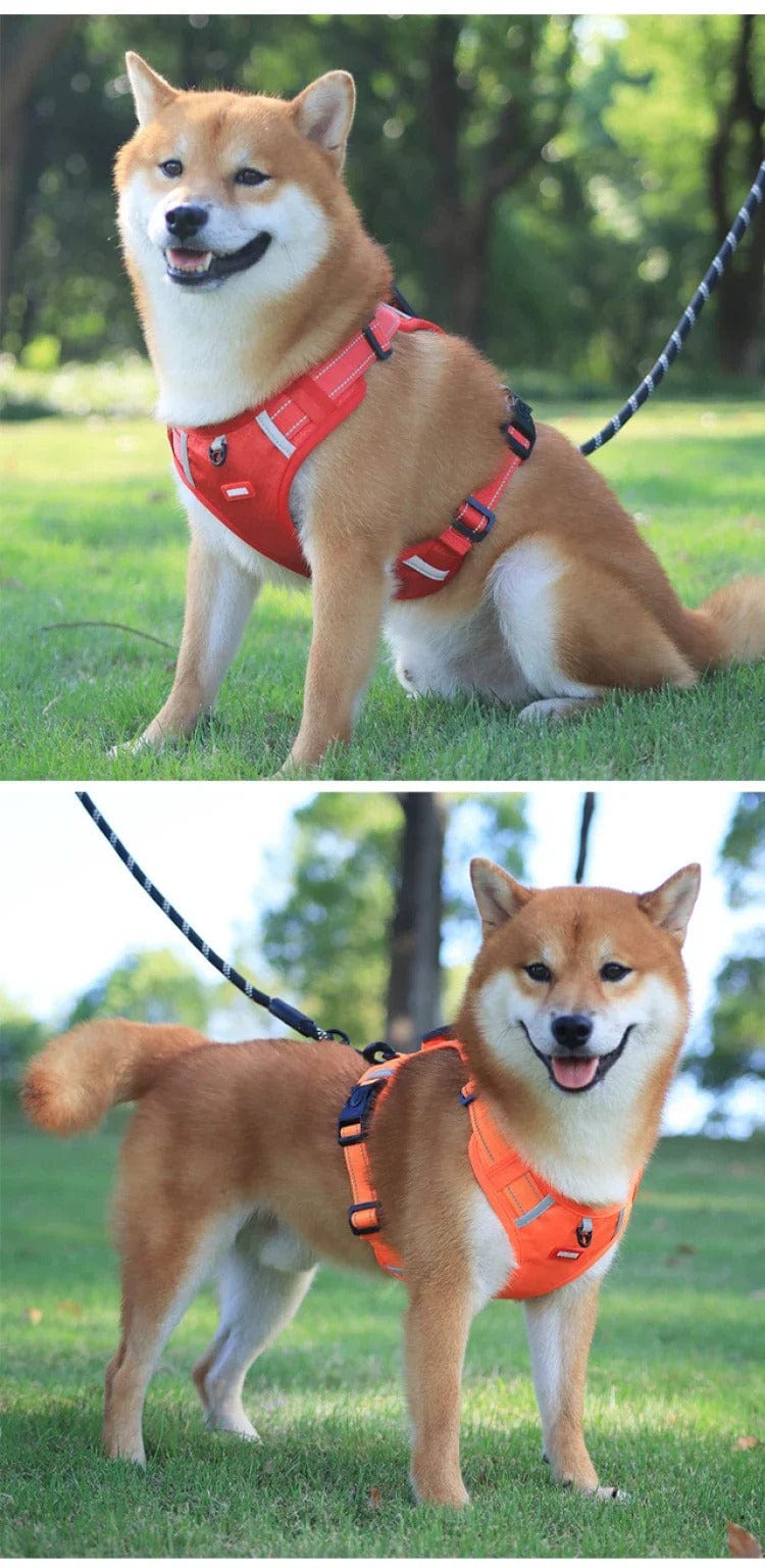 Snooze Doggy Dog Harness
