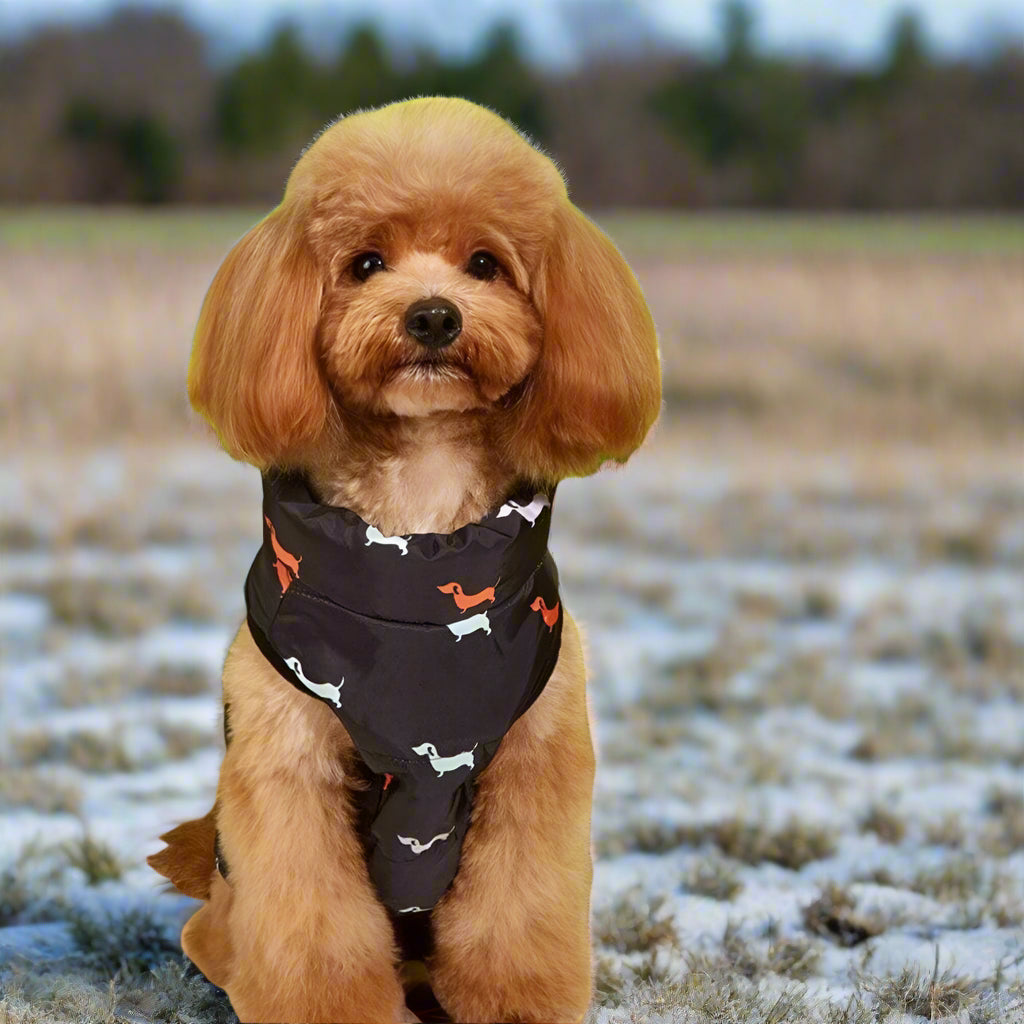 Snooze Doggy Dog Puffa Coat For Small Dogs