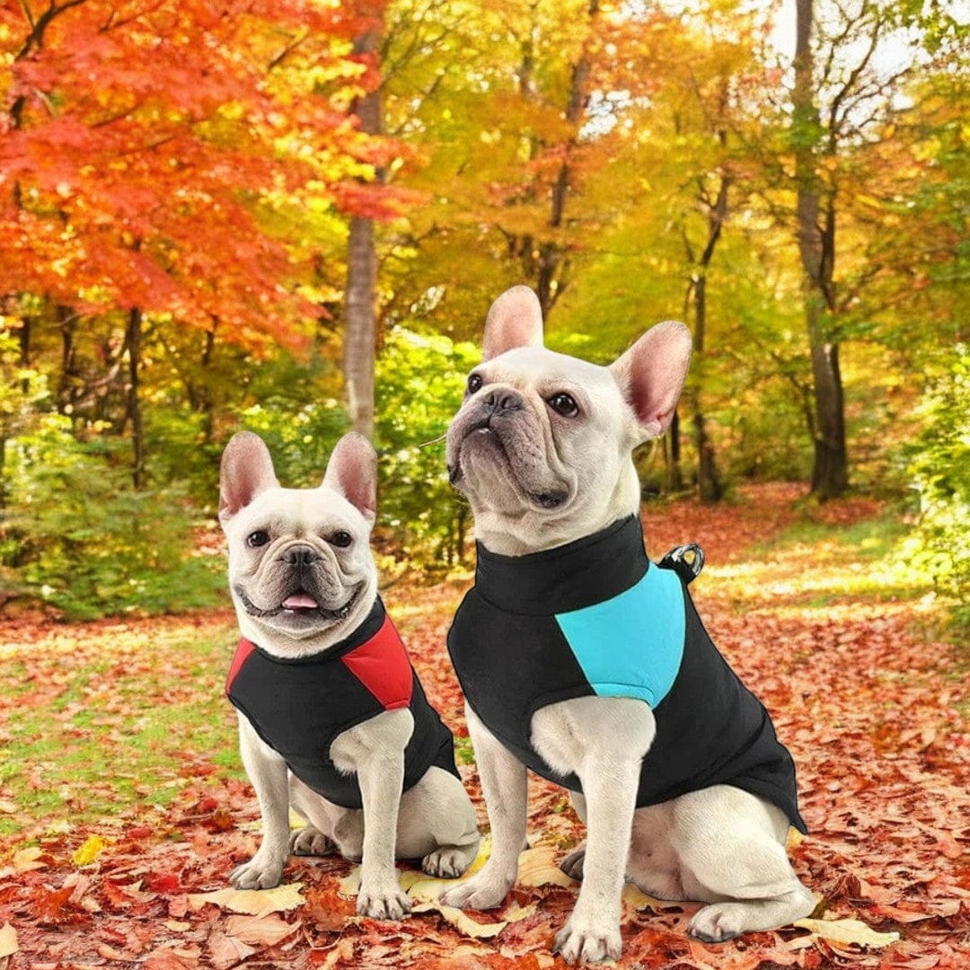 Snooze Doggy Novelty Puffa Dog Coat/Bodywarmer