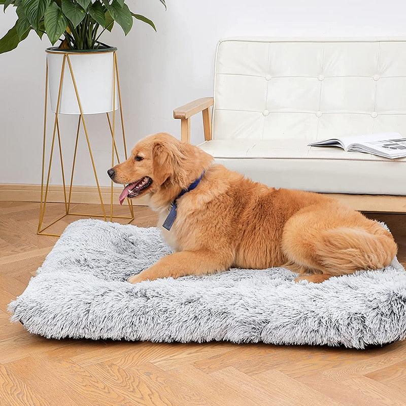Snooze Doggy Plush Dog Bed Mat Cat Beds for Small Medium Large Dogs Removable for Cleaning Puppy Cushion Super Soft Claming Dog Beds Pet Bed