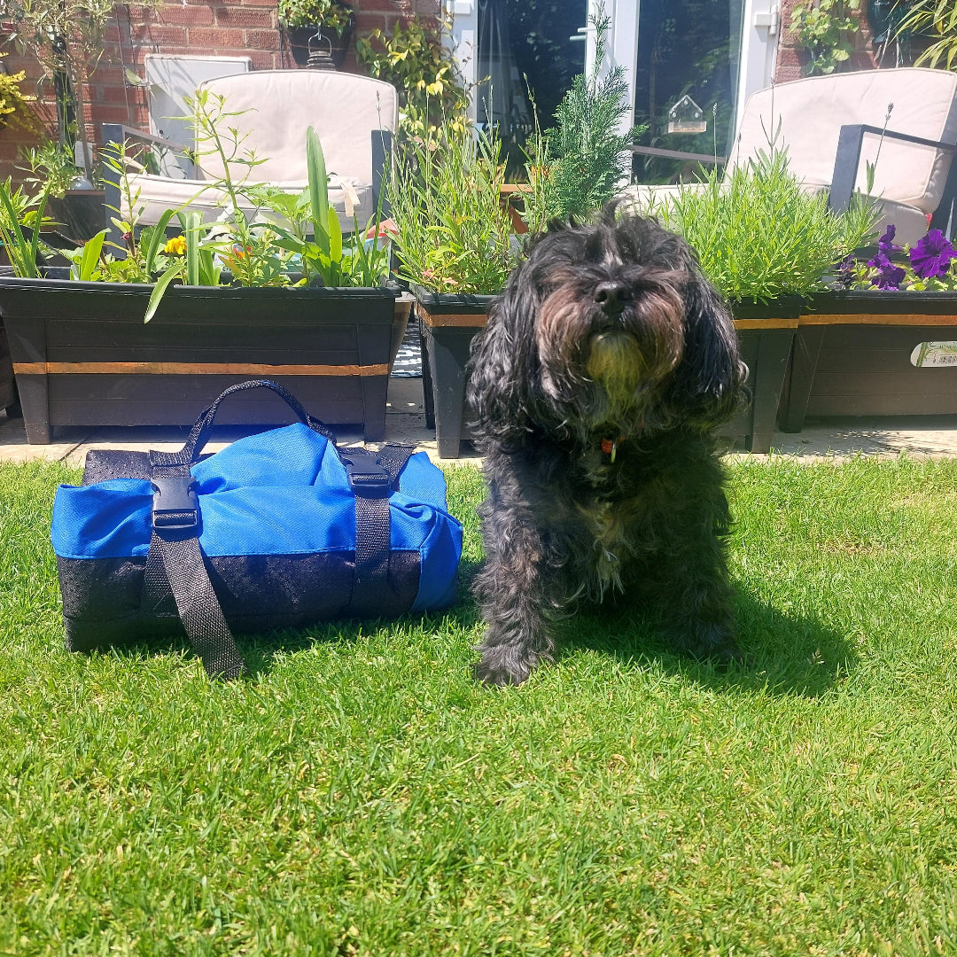 Snooze Doggy Portable Foldable Dog Travel Mat