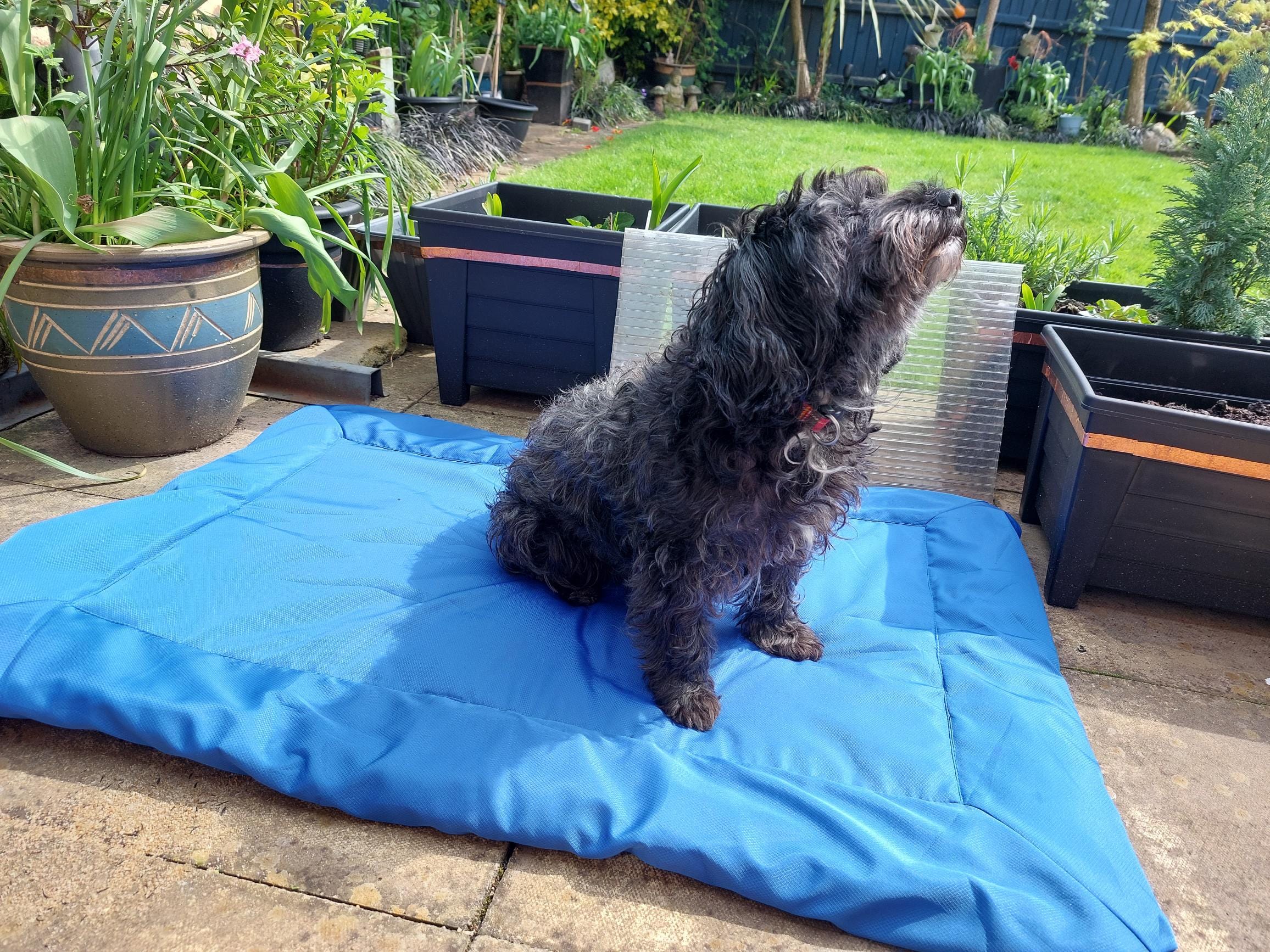 Snooze Doggy Portable Foldable Dog Travel Mat