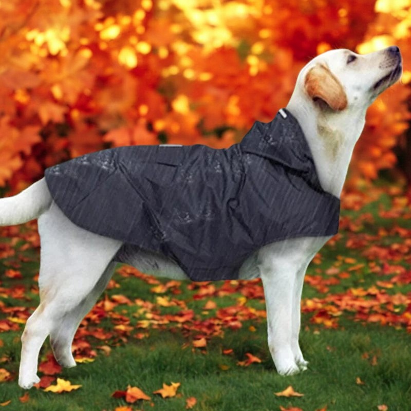 Lightweight Waterproof Dog Rain Mac