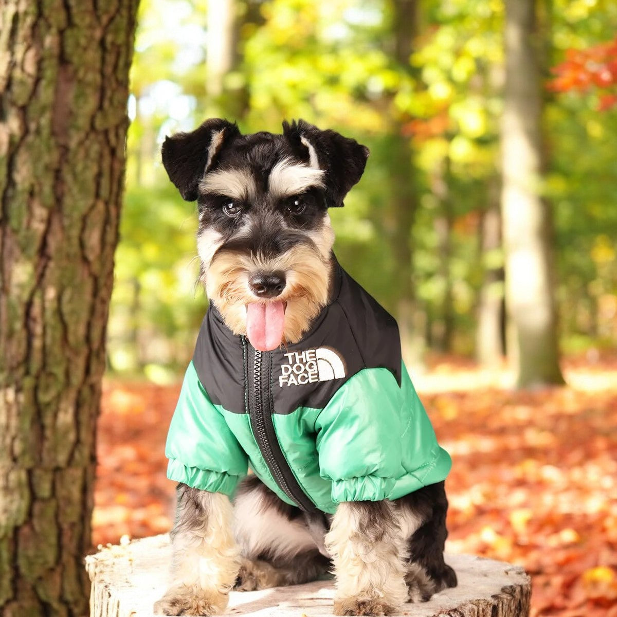 Novelty Winter Dog Coat