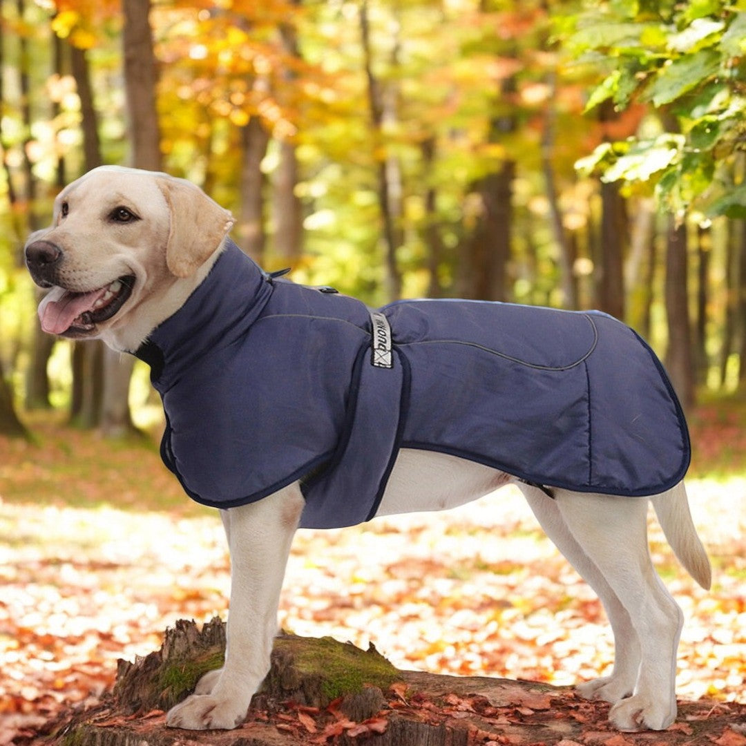 Water Resistant Turtle Neck Coat