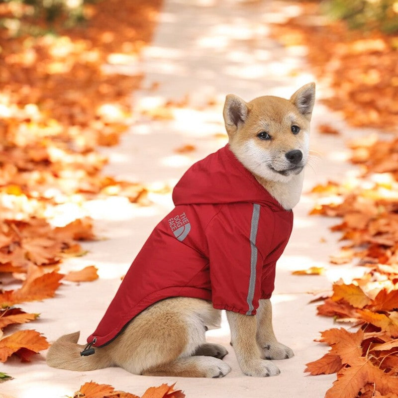 Novelty Waterproof Dog Coat