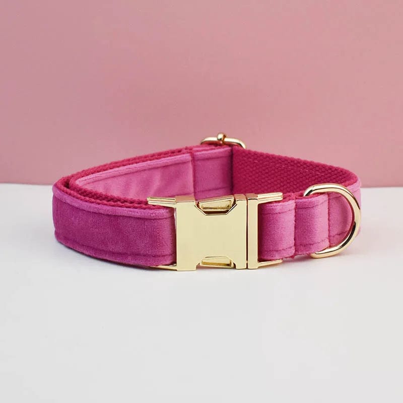 Snooze Doggy Bright Pink Collar / X-Small Luxury Personalized Dog Collar Harness Leash set custom，custom Logo detachable dog bow tie collar，dog collar leash diy
