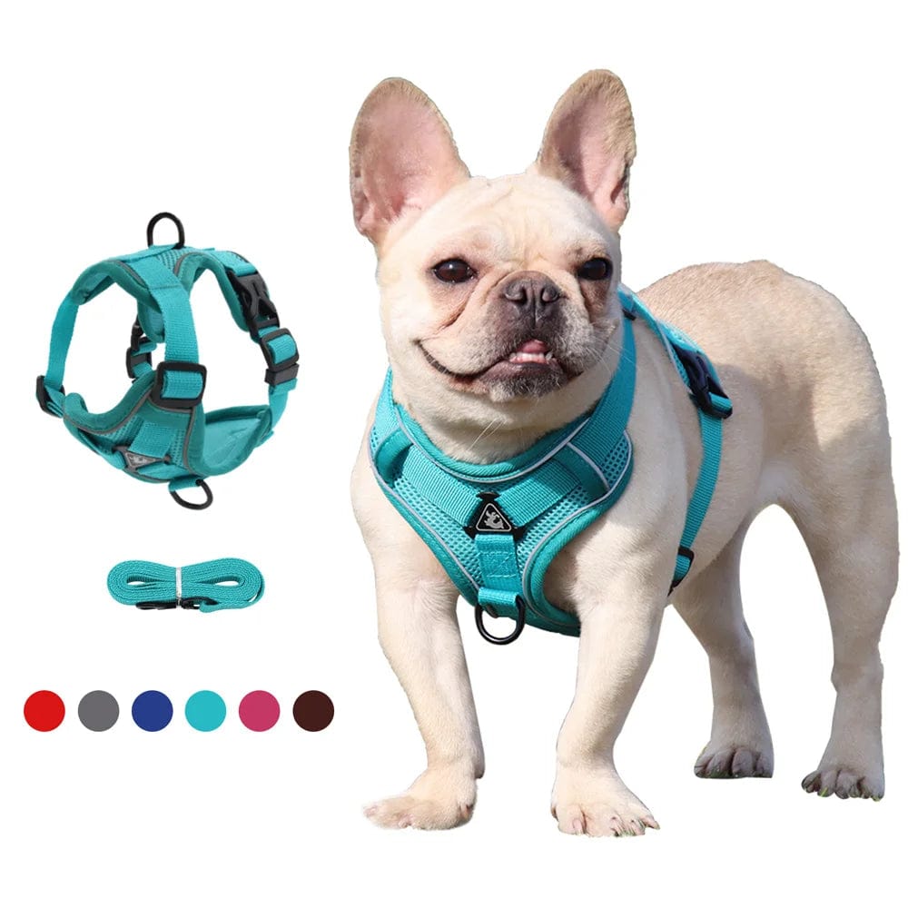 Snooze Doggy Dog Harness with 1.5m Traction Leash Set No Pull Dog Vest Strap Adjustable Reflective Breathable Harness for Dogs Puppy and Cats