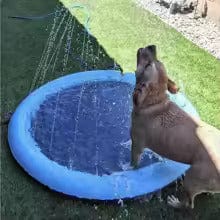 Snooze Doggy Dog Sprinkler Mat/ Shallow Paddling Pool
