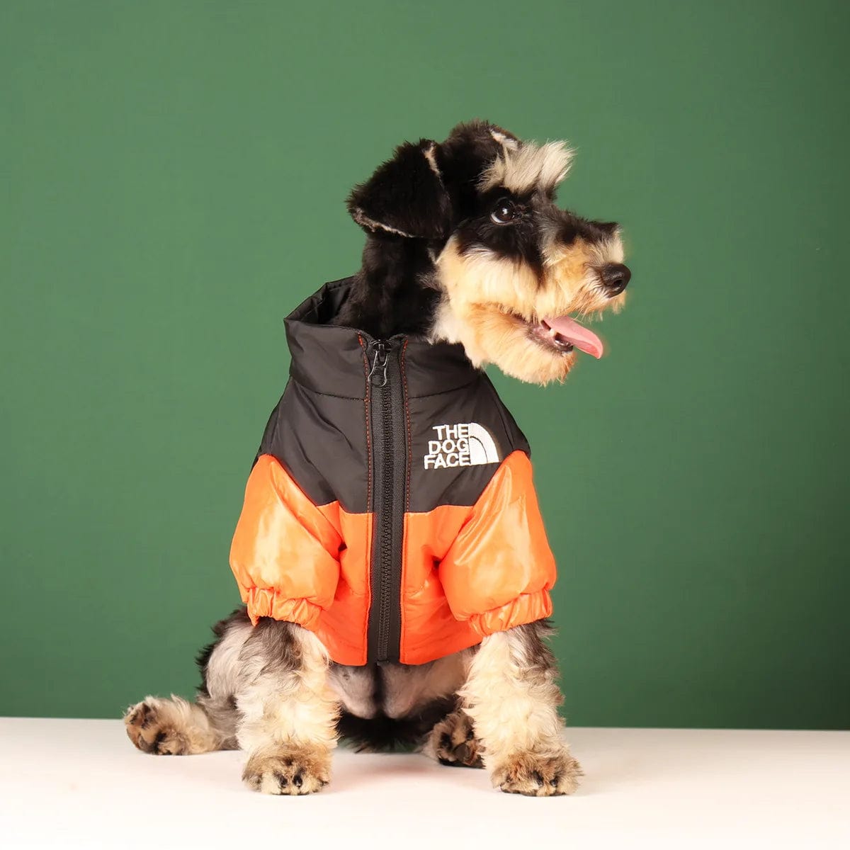 Snooze Doggy Novelty Winter Dog Coat