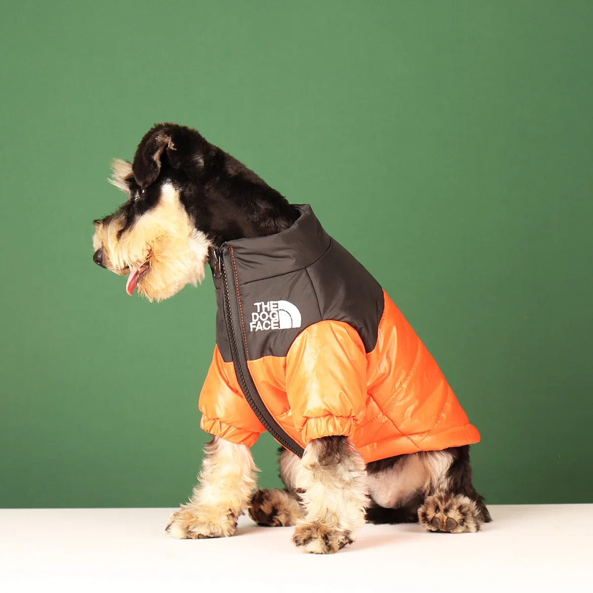 Snooze Doggy Novelty Winter Dog Coat