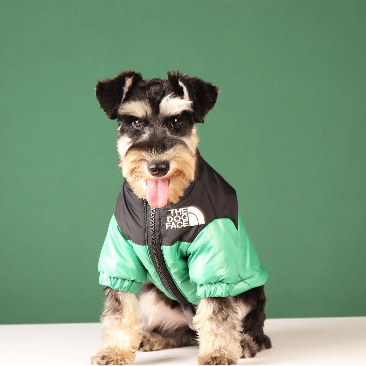 Snooze Doggy Novelty Winter Dog Coat