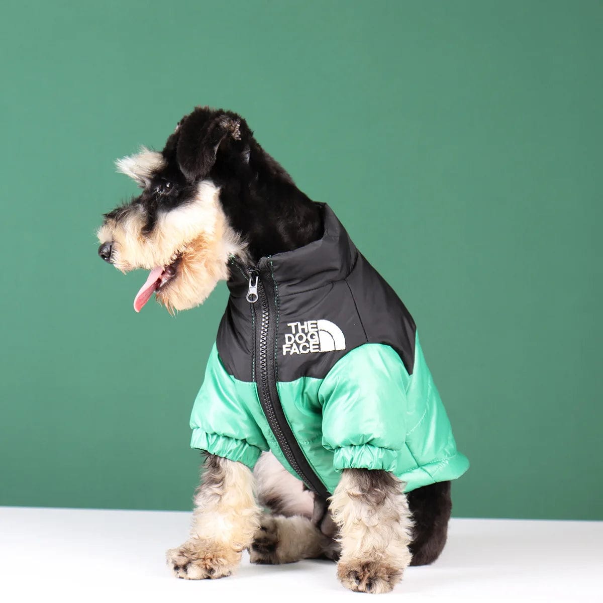 Snooze Doggy Novelty Winter Dog Coat