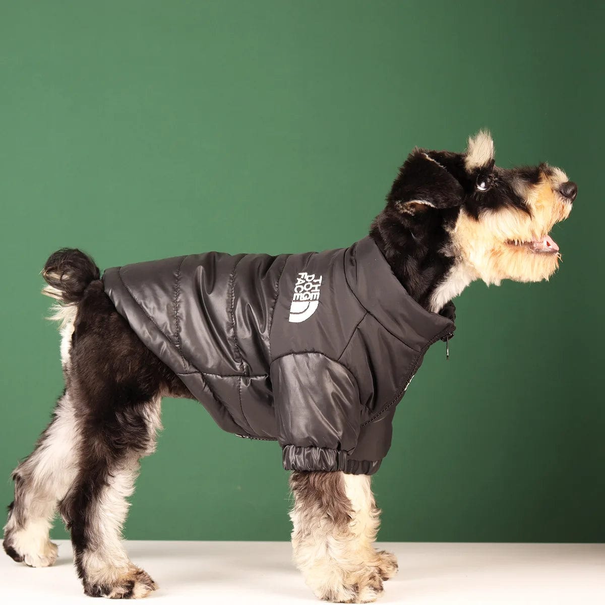 Snooze Doggy Novelty Winter Dog Coat