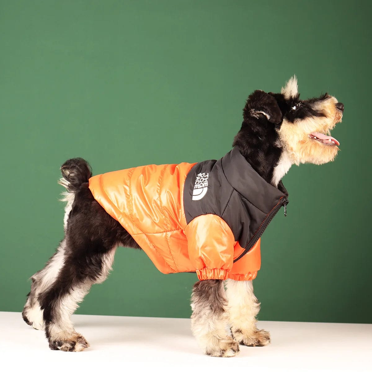 Snooze Doggy Novelty Winter Dog Coat