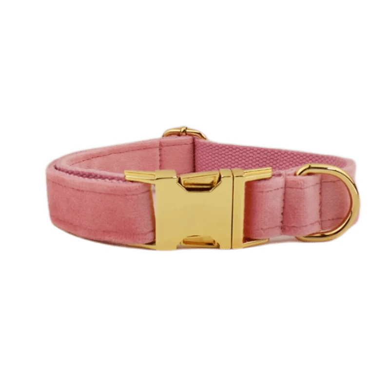 Snooze Doggy Pink Collar / X-Small Luxury Personalized Dog Collar Harness Leash set custom，custom Logo detachable dog bow tie collar，dog collar leash diy