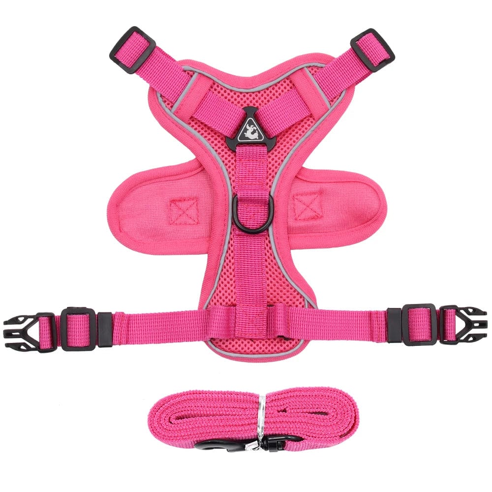 Snooze Doggy Pink / X-Large Small Dogs Harness & Lead Set