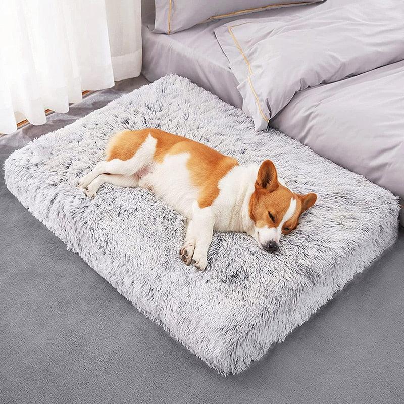 Snooze Doggy Plush Dog Bed Mat Cat Beds for Small Medium Large Dogs Removable for Cleaning Puppy Cushion Super Soft Claming Dog Beds Pet Bed