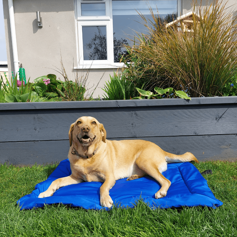 Snooze Doggy Waterproof Anti Slip Pet Bed Cushion Washable Dog Outdoor Matteress Pet Supplies