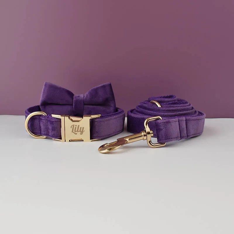 Snooze Doggy Purple Collar Bow & Lead Set / X-Small Luxury Personalized Dog Collar Harness Leash set custom，custom Logo detachable dog bow tie collar，dog collar leash diy