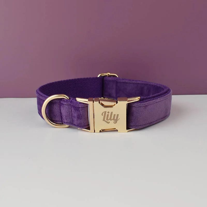 Snooze Doggy Purple Collar / X-Small Luxury Personalized Dog Collar Harness Leash set custom，custom Logo detachable dog bow tie collar，dog collar leash diy