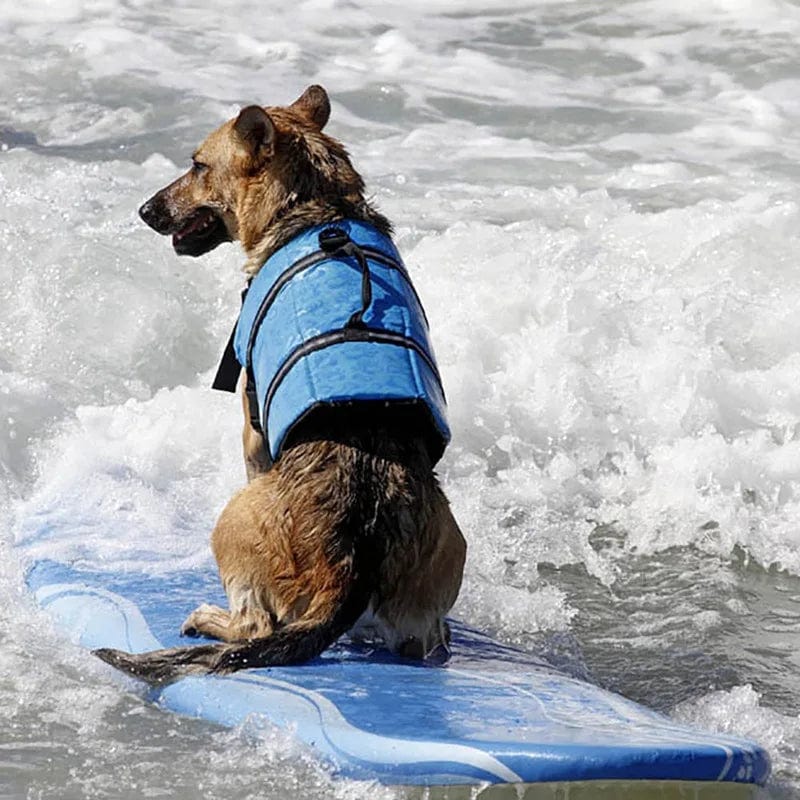 Snooze Doggy Summer Dog Life Vest Jacket Reflective Pet Clothes Swimwear Puppy Dog Life Jacket Safety Swimming for Medium Large Dogs Surfing
