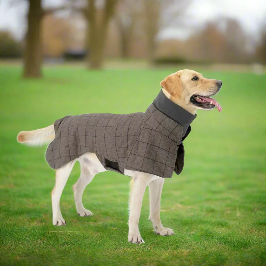 Snooze Doggy Warm Dog Coat English Plaid Dog Fleece Vest Windbreaker Jacket Winter Clothing with Traction Eyelets Suitable for All Dog Types