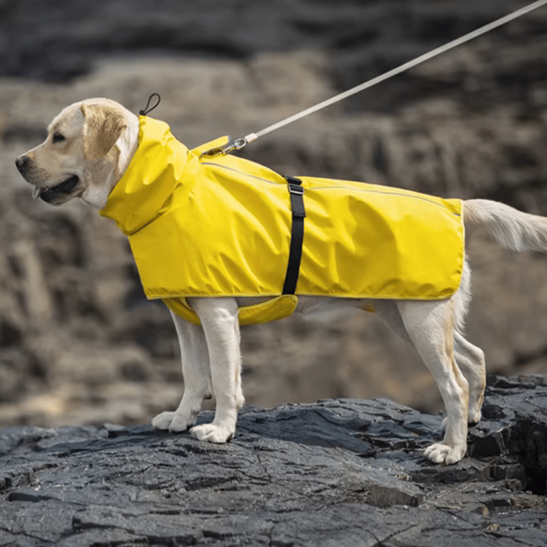 Snooze Doggy Waterproof Lightweight Rain Mac